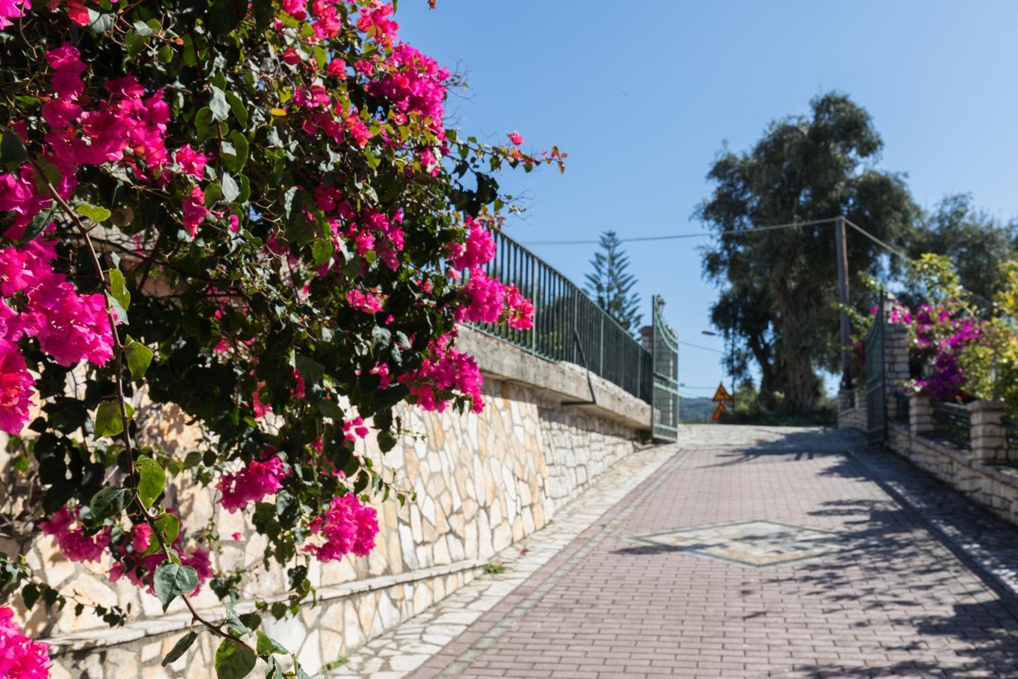 Villa Anthoussa In Palaiokastritsa Buitenkant foto